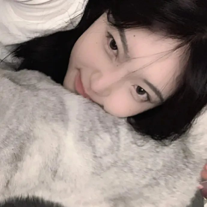 猪猪侠大电影·恐龙日记